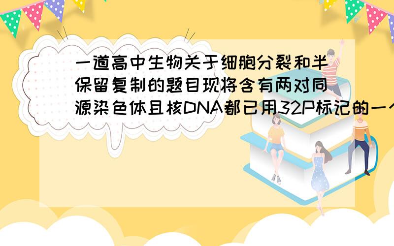 一道高中生物关于细胞分裂和半保留复制的题目现将含有两对同源染色体且核DNA都已用32P标记的一个细胞,放在不含32P的培养基中培养,若该细胞连续进行4次有丝分裂,则含32P的子细胞数量最少