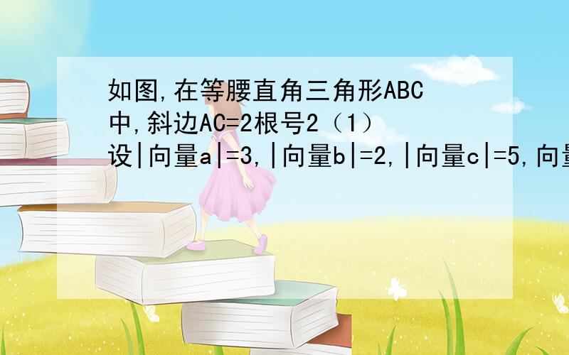 如图,在等腰直角三角形ABC中,斜边AC=2根号2（1）设|向量a|=3,|向量b|=2,|向量c|=5,向量a与b的夹角为π/6,向量b与向量c的夹角为π/3,计算：  （1）|（向量a.向量b）向量c|      （2）|向量a（向量b.向量c