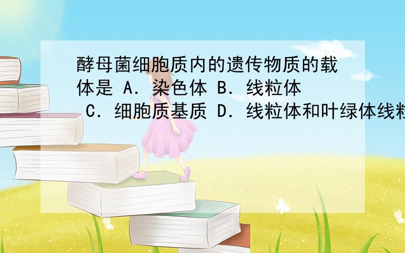 酵母菌细胞质内的遗传物质的载体是 A．染色体 B．线粒体 C．细胞质基质 D．线粒体和叶绿体线粒体 为什么不选A 呢 查了好几套这题 标答全是B 线粒体