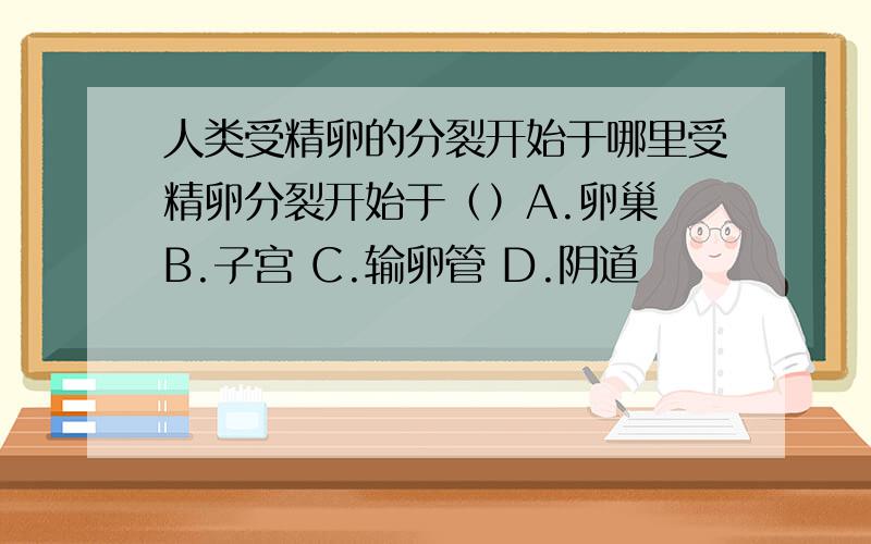 人类受精卵的分裂开始于哪里受精卵分裂开始于（）A.卵巢 B.子宫 C.输卵管 D.阴道