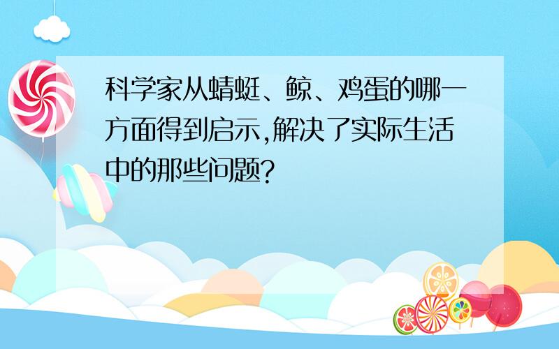 科学家从蜻蜓、鲸、鸡蛋的哪一方面得到启示,解决了实际生活中的那些问题?