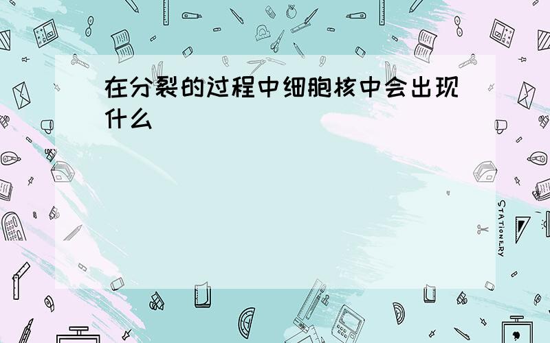 在分裂的过程中细胞核中会出现什么