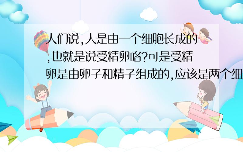 人们说,人是由一个细胞长成的,也就是说受精卵咯?可是受精卵是由卵子和精子组成的,应该是两个细胞才对啊!