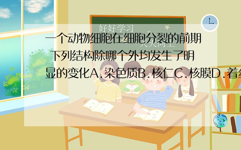 一个动物细胞在细胞分裂的前期 下列结构除哪个外均发生了明显的变化A.染色质B.核仁C.核膜D.着丝点