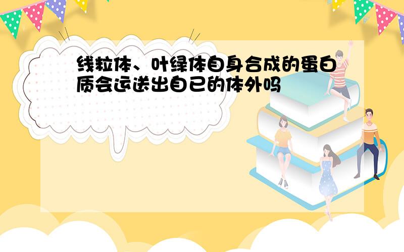 线粒体、叶绿体自身合成的蛋白质会运送出自已的体外吗