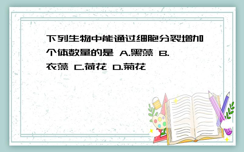 下列生物中能通过细胞分裂增加个体数量的是 A.黑藻 B.衣藻 C.荷花 D.菊花