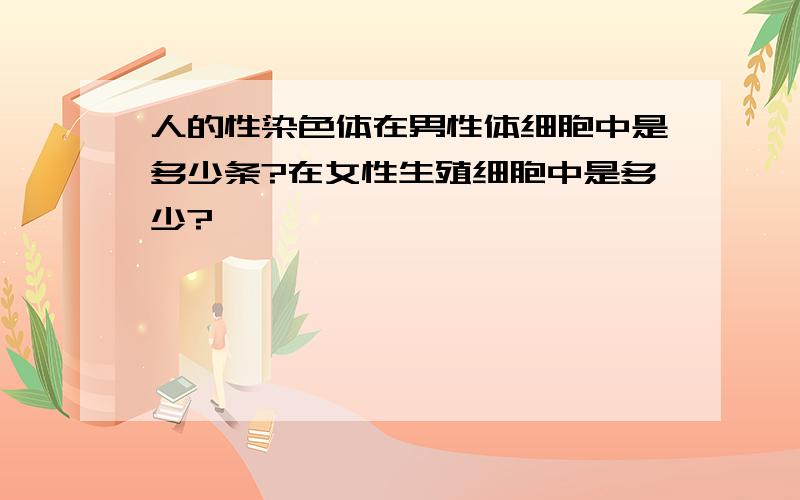 人的性染色体在男性体细胞中是多少条?在女性生殖细胞中是多少?