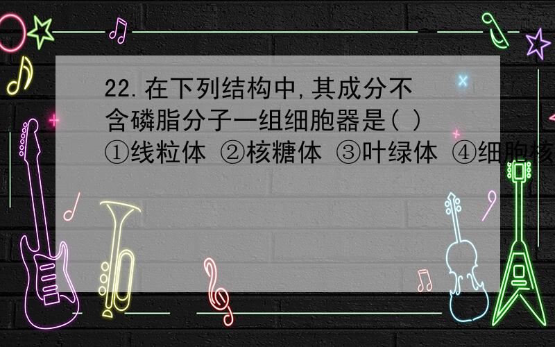 22.在下列结构中,其成分不含磷脂分子一组细胞器是( )①线粒体 ②核糖体 ③叶绿体 ④细胞核 ⑤内质网 ⑥中心体 ⑦高尔基体A.①③ B.④⑤ C.⑤⑦ D.②⑥