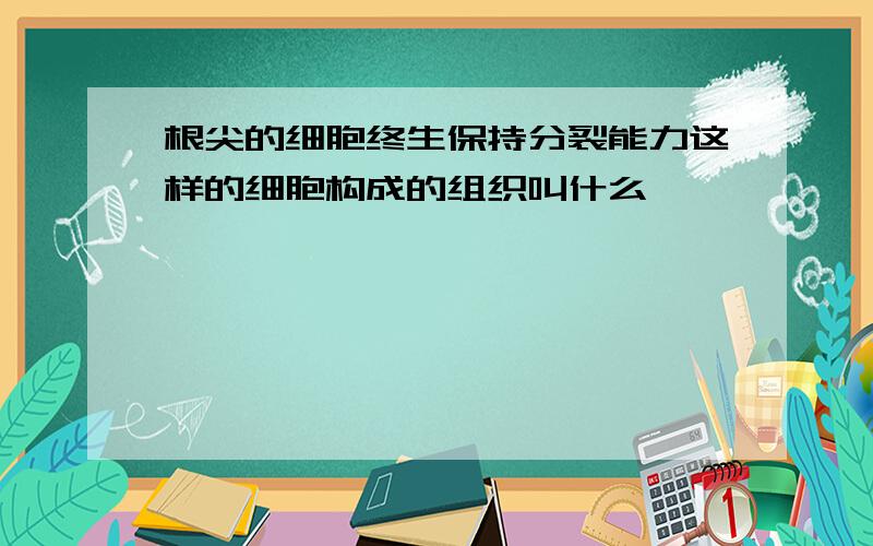 根尖的细胞终生保持分裂能力这样的细胞构成的组织叫什么