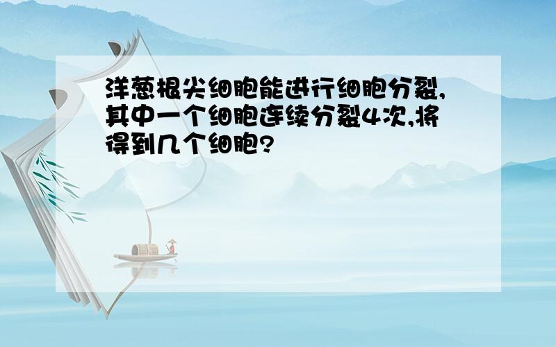 洋葱根尖细胞能进行细胞分裂,其中一个细胞连续分裂4次,将得到几个细胞?