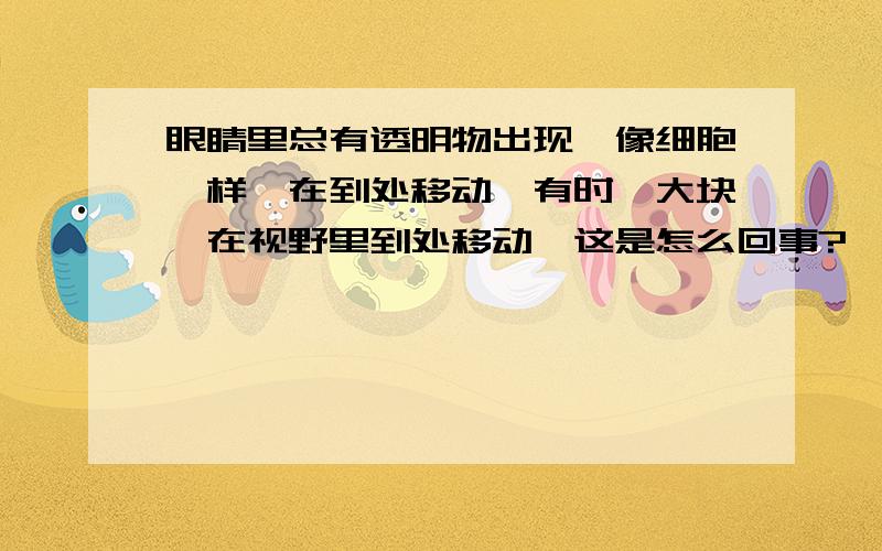 眼睛里总有透明物出现,像细胞一样,在到处移动,有时一大块,在视野里到处移动,这是怎么回事?