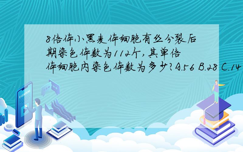 8倍体小黑麦体细胞有丝分裂后期染色体数为112个,其单倍体细胞内染色体数为多少?A.56 B.28 C.14 D.7额 百度上有这题的解析 可是看不懂== 谁能回答的详细一点啊 关键是那个8 如果有用 到底什么