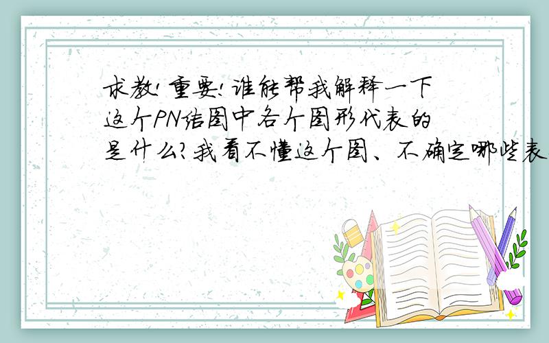 求教!重要!谁能帮我解释一下这个PN结图中各个图形代表的是什么?我看不懂这个图、不确定哪些表示空穴、哪些又表示电子,还有、这个PN结是不是由两个半导体型一个P型一个N型构成的?左边