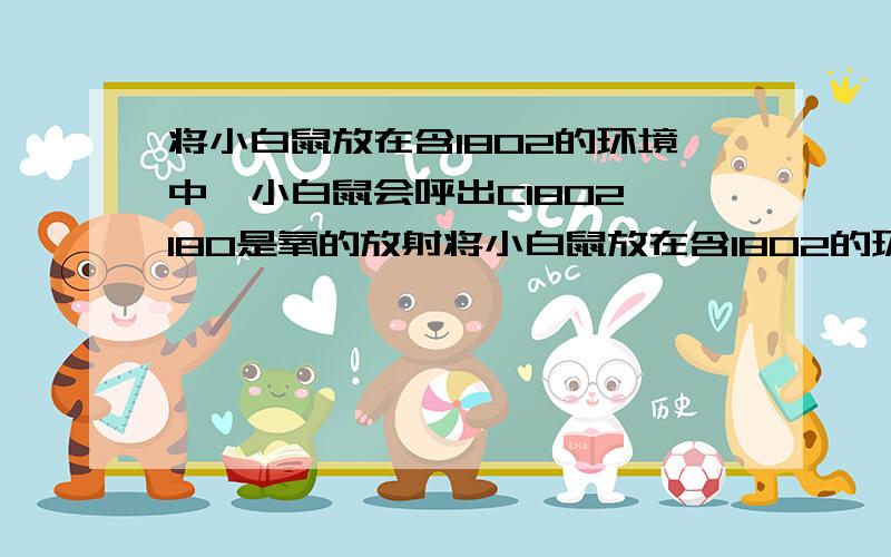 将小白鼠放在含18O2的环境中,小白鼠会呼出C18O2 18O是氧的放射将小白鼠放在含18O2的环境中,小白鼠会呼出C18O2 18O是氧的放射性同位素