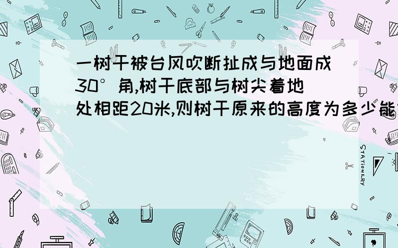 一树干被台风吹断扯成与地面成30°角,树干底部与树尖着地处相距20米,则树干原来的高度为多少能给个图吗,答案是20根3