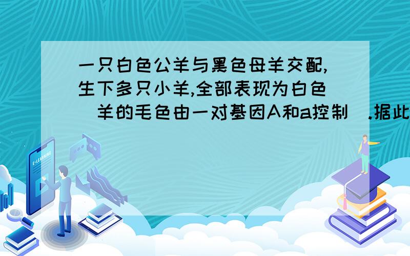 一只白色公羊与黑色母羊交配,生下多只小羊,全部表现为白色（羊的毛色由一对基因A和a控制).据此可以推断A白色公羊的基因组成必为AAB白色公羊基因必为Aa