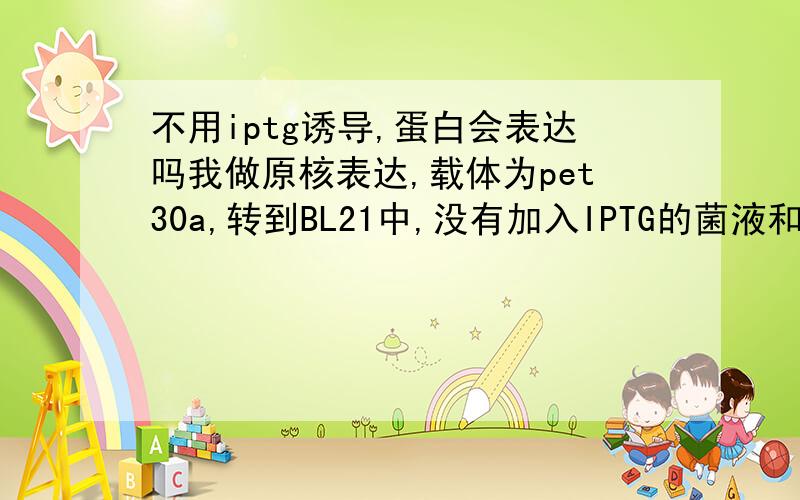 不用iptg诱导,蛋白会表达吗我做原核表达,载体为pet30a,转到BL21中,没有加入IPTG的菌液和加入IPTG 的菌液跑SDS-PAGE,在预测蛋白大小处均有蛋白表达,不知道什么原因为了确定是否为我的目的蛋白,