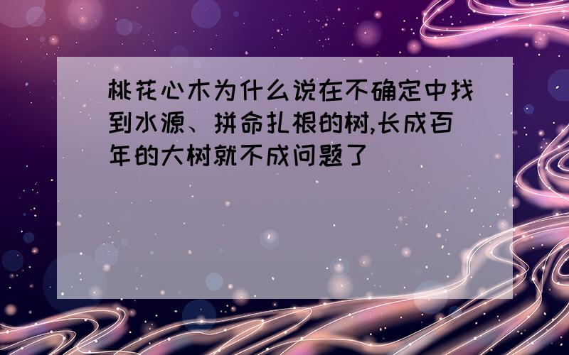 桃花心木为什么说在不确定中找到水源、拼命扎根的树,长成百年的大树就不成问题了