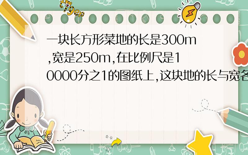 一块长方形菜地的长是300m,宽是250m,在比例尺是10000分之1的图纸上,这块地的长与宽各应画多少厘米?3Q