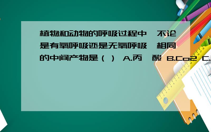 植物和动物的呼吸过程中,不论是有氧呼吸还是无氧呼吸,相同的中间产物是（） A.丙酮酸 B.Co2 C.H2o D.葡D是葡萄糖