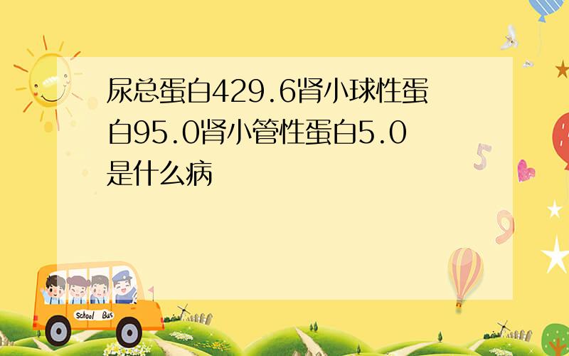 尿总蛋白429.6肾小球性蛋白95.0肾小管性蛋白5.0是什么病