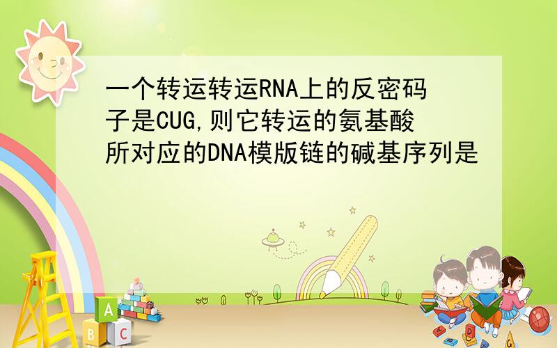 一个转运转运RNA上的反密码子是CUG,则它转运的氨基酸所对应的DNA模版链的碱基序列是