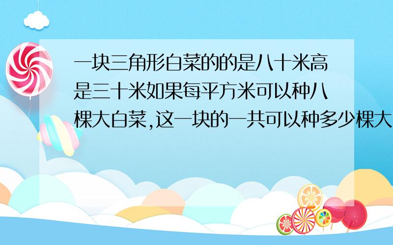 一块三角形白菜的的是八十米高是三十米如果每平方米可以种八棵大白菜,这一块的一共可以种多少棵大白菜?