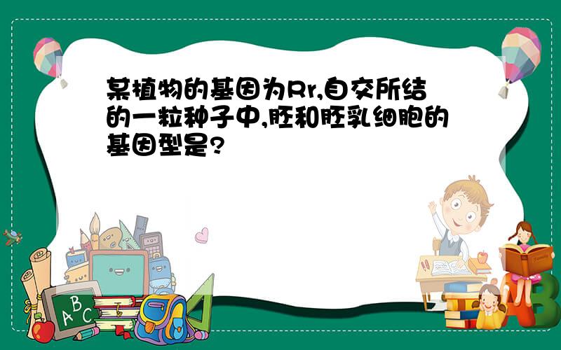 某植物的基因为Rr,自交所结的一粒种子中,胚和胚乳细胞的基因型是?