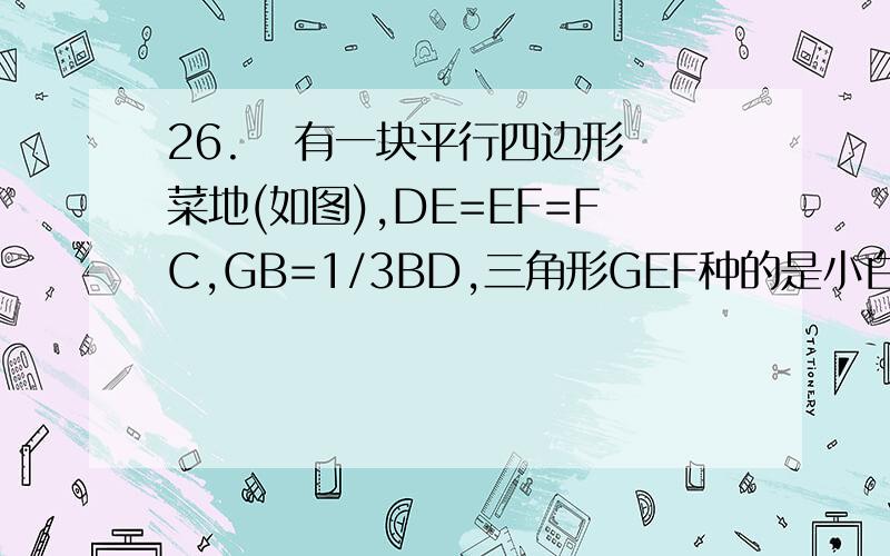 26.   有一块平行四边形菜地(如图),DE=EF=FC,GB=1/3BD,三角形GEF种的是小白菜,面积是8 平方米,求这块平行四边形菜地的面积是多少平方米.