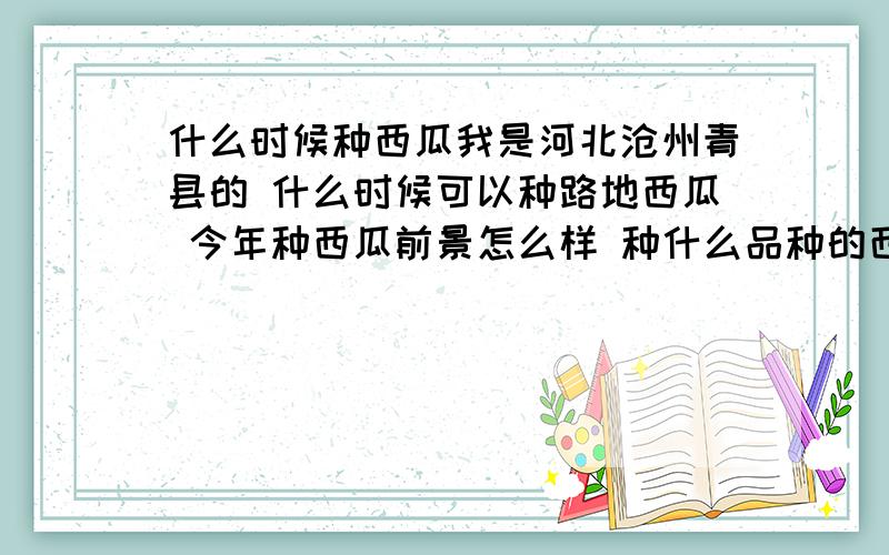 什么时候种西瓜我是河北沧州青县的 什么时候可以种路地西瓜 今年种西瓜前景怎么样 种什么品种的西瓜比较好