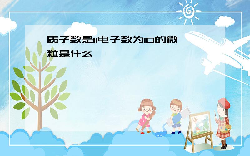 质子数是11电子数为10的微粒是什么