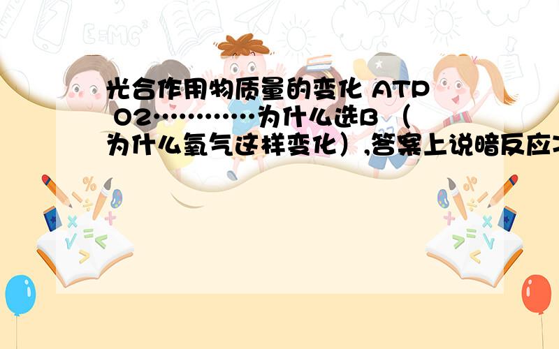 光合作用物质量的变化 ATP O2…………为什么选B （为什么氧气这样变化）,答案上说暗反应减弱会影响光反应,