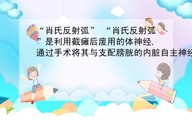 “肖氏反射弧” “肖氏反射弧”是利用截瘫后废用的体神经,通过手术将其与支配膀胱的内脏自主神经吻合杂交,形成一种新的可经皮肤控制的神经反射排尿通路,形成人工的 “皮肤—脊髓中