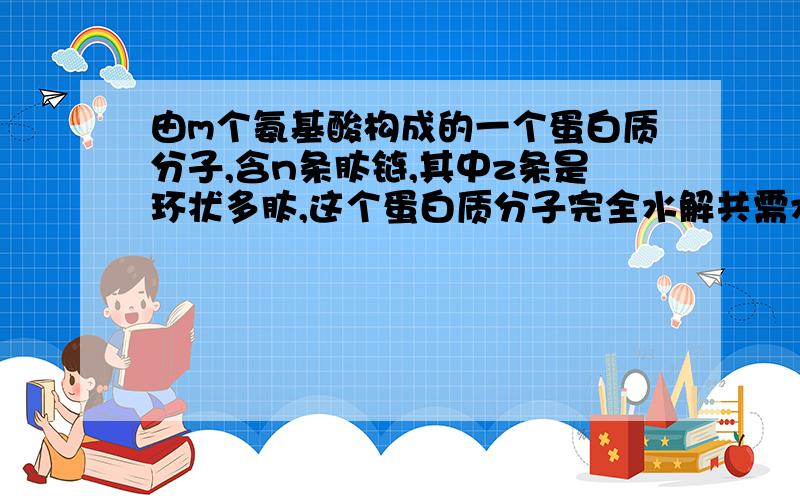 由m个氨基酸构成的一个蛋白质分子,含n条肽链,其中z条是环状多肽,这个蛋白质分子完全水解共需水分子个数为A.m-n+zB.m-n-zC.m-z+nD.m+z+n