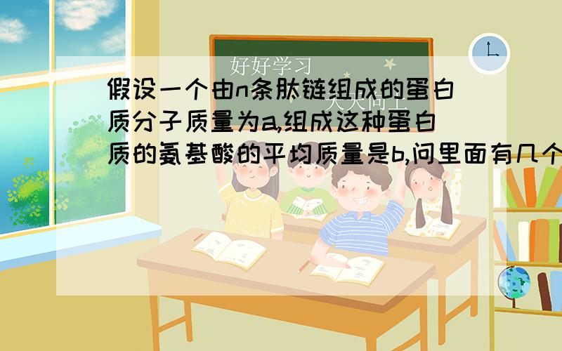 假设一个由n条肽链组成的蛋白质分子质量为a,组成这种蛋白质的氨基酸的平均质量是b,问里面有几个肽键