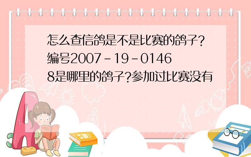 怎么查信鸽是不是比赛的鸽子?编号2007-19-01468是哪里的鸽子?参加过比赛没有