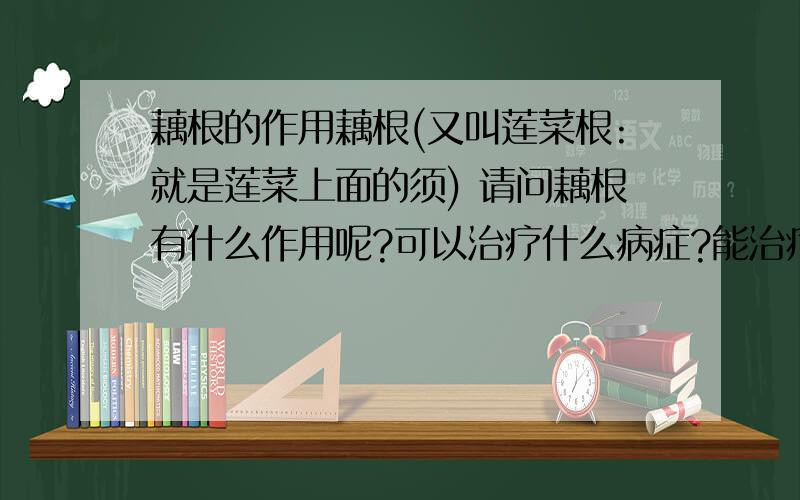 藕根的作用藕根(又叫莲菜根:就是莲菜上面的须) 请问藕根有什么作用呢?可以治疗什么病症?能治疗高血压吗?