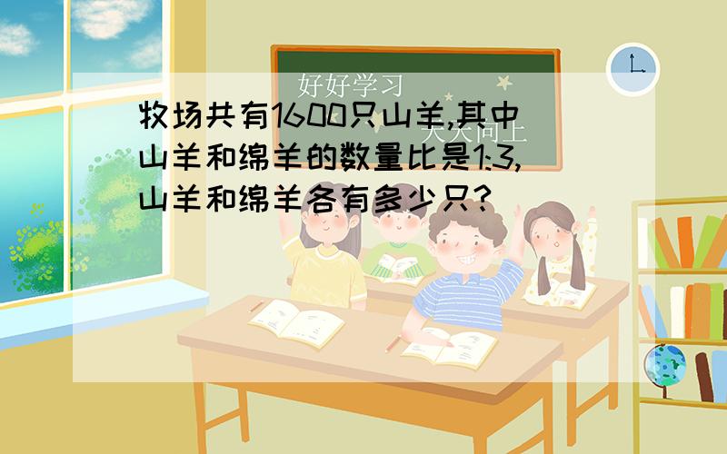 牧场共有1600只山羊,其中山羊和绵羊的数量比是1:3,山羊和绵羊各有多少只?