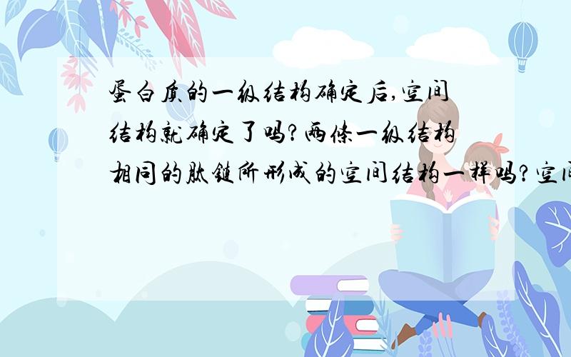 蛋白质的一级结构确定后,空间结构就确定了吗?两条一级结构相同的肽链所形成的空间结构一样吗?空间结构还取决于哪些因素?二级结构的氢键不是由一级结构中氨基酸提供的吗?而且二级结