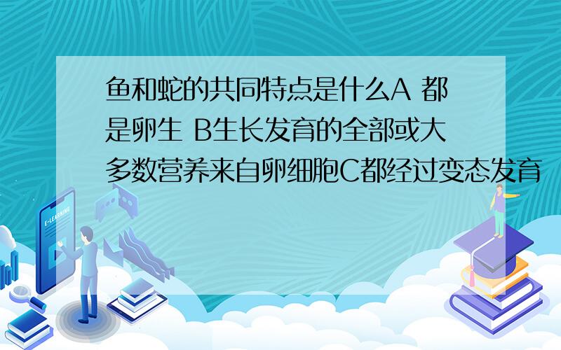 鱼和蛇的共同特点是什么A 都是卵生 B生长发育的全部或大多数营养来自卵细胞C都经过变态发育