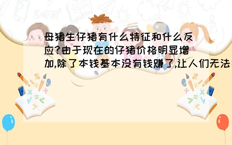 母猪生仔猪有什么特征和什么反应?由于现在的仔猪价格明显增加,除了本钱基本没有钱赚了,让人们无法接受!所以我养了一个母猪,但是又没有经验不知道母猪生仔猪有什么特征和反应还有不