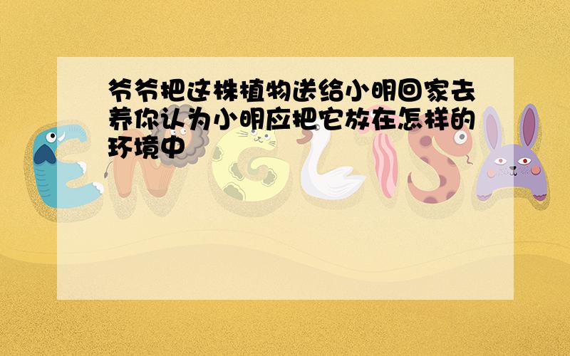 爷爷把这株植物送给小明回家去养你认为小明应把它放在怎样的环境中