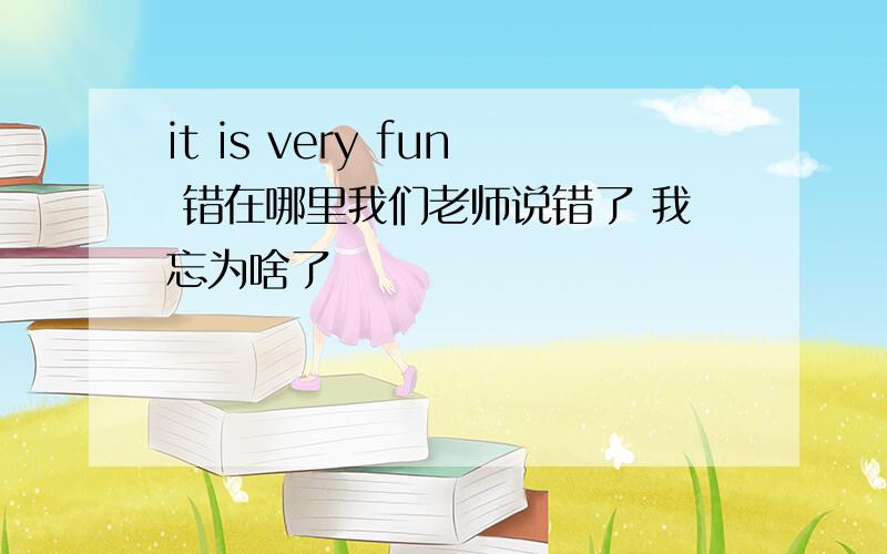 it is very fun 错在哪里我们老师说错了 我忘为啥了