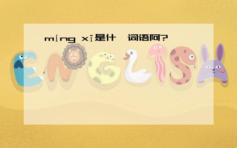 míng xī是什麽词语阿?