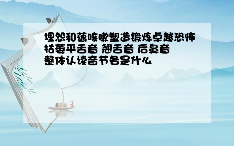 埋怨和蔼咳嗽塑造锻炼卓越恐怖枯萎平舌音 翘舌音 后鼻音 整体认读音节各是什么