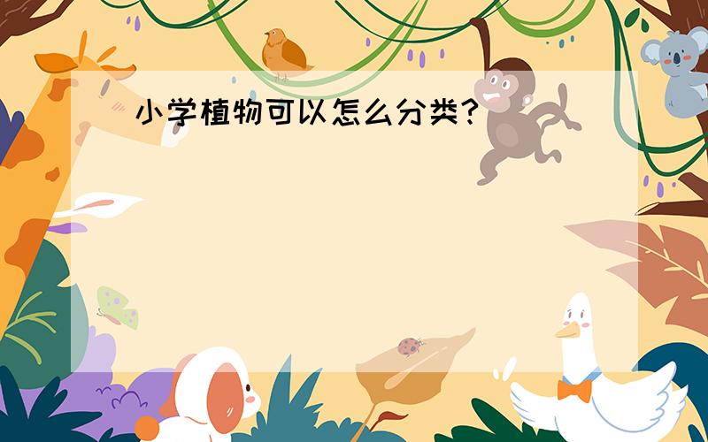 小学植物可以怎么分类?