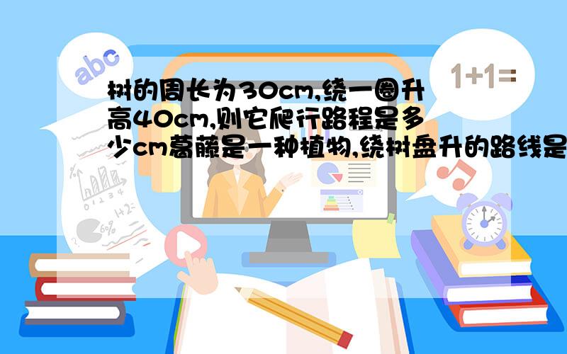 树的周长为30cm,绕一圈升高40cm,则它爬行路程是多少cm葛藤是一种植物,绕树盘升的路线是最短的