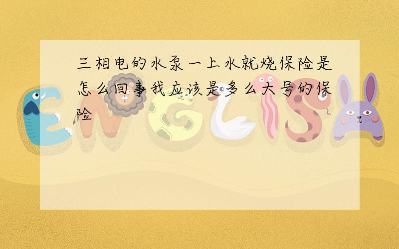 三相电的水泵一上水就烧保险是怎么回事我应该是多么大号的保险