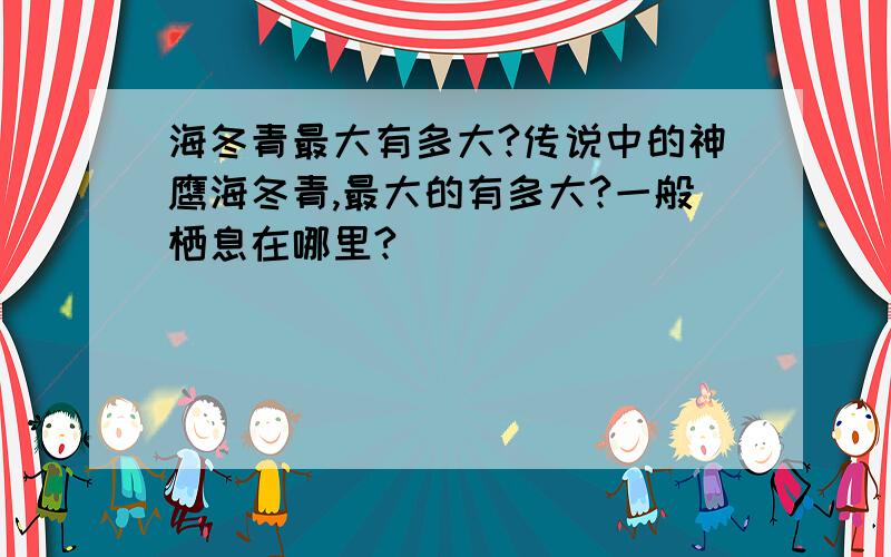 海冬青最大有多大?传说中的神鹰海冬青,最大的有多大?一般栖息在哪里?