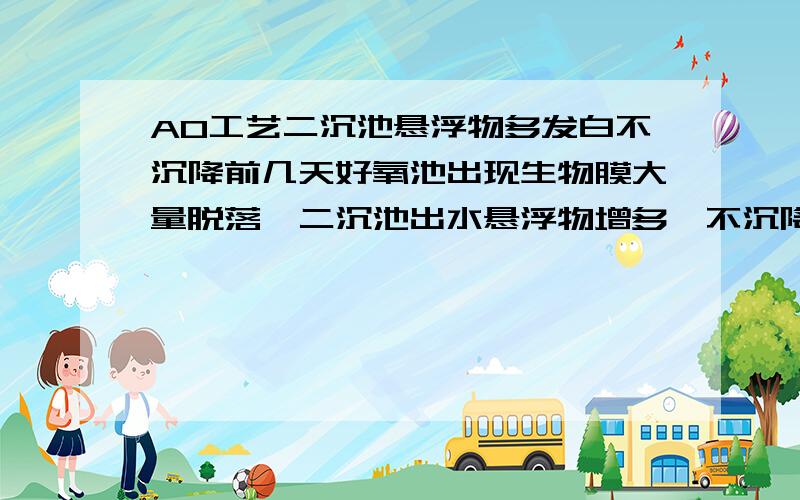 AO工艺二沉池悬浮物多发白不沉降前几天好氧池出现生物膜大量脱落,二沉池出水悬浮物增多,不沉降,发白啥原因现在每天都有块状污泥上浮,应该是局部厌氧.但放量筒两小时水中还有好多发白